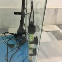 آکواریوم نو|ماهی|ساری, |دیوار