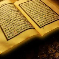 سرکتاب