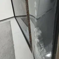 حراجی لوازم منزل|حراج|مشهد, کوشش|دیوار