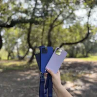 قاب آویز دار