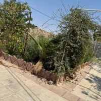 زمین 45هکتار همراه چاه|اجارهٔ دفتر صنعتی، کشاورزی، تجاری|جوادآباد, |دیوار