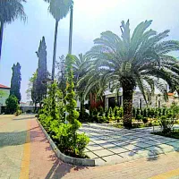 الماس ایزدشهر/ زمین سندتک‌برگ/ اگهی قیمت کل