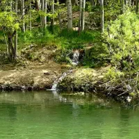 زمین مسکونی|فروش زمین و ملک کلنگی|باغ بهادران, |دیوار