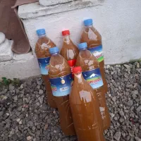 اب غوره تازه و تمیز
