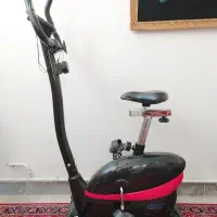 دوچرخه ثابت حرفه ای