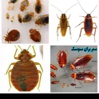 سمپاشی دریک مرحله سراسرتهران100٪تضمینی‌ضمانتی۲۴ساع