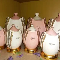 سرویس پاسماوری