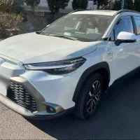 فرانتلندر صفر ۲۰۲۵