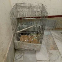 قفس بزرگ