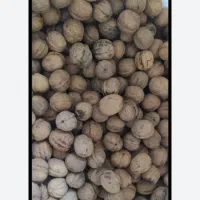 گردو پوست نازک کاغذی