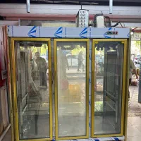 لاشه خور و ویترینی