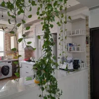 آپارتمان پنت هاوس دوبلکس|فروش آپارتمان|قدس, شهرقدس|دیوار