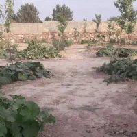 باغ فروشی سمندر