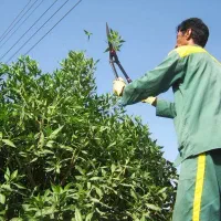 استخدام نیروی خدمات فقط آقا|استخدام سرایداری و نظافت|تهران, زعفرانیه|دیوار