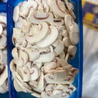 قارچ|خوردنی و آشامیدنی|کرج, مصباح|دیوار