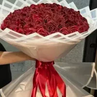 گل ۱۰۰ شاخه