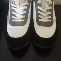 کتانی سایز۴۰|کیف، کفش، کمربند|پرند, فاز ۵|دیوار