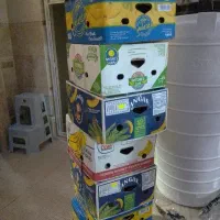 کارتن موز