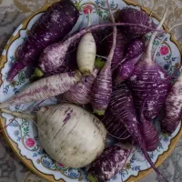 شلغم آردی و خوشمزه