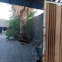 فروش-منزل-مسکونی-داراب-خیابان-هجرت