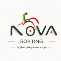 استخدام نیروی سورتینگ
