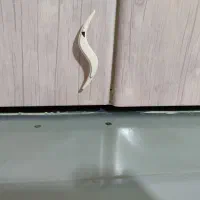 هود پویا مکس|هود|محمدیه-قزوین, |دیوار