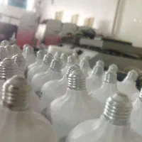 تولید کننده لامپ فوق کم مصرف اقتصادی|لامپ و چراغ|تهران, آرژانتین|دیوار