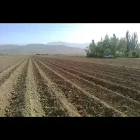 فروش زمین کشاورزی 13 هکتاری
