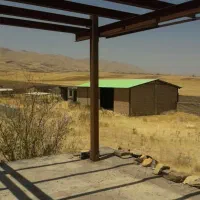 گاوداری صنعتی شیری  با 15 میلیارد وام