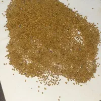 تخم یونجه بوجاری