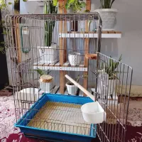 قفس پرنده و زیر قفسی کاسکو ، عروس هلندی، مینا