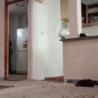 خدمت کار منزل