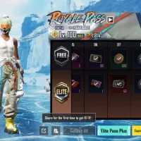 معامله  کبوتر