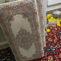 یک جفت پشتی۱۲۰۰شانه