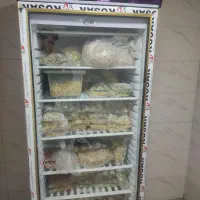 فریزر ایستاده 70cm SBM|فروشگاه و مغازه|نجف‌آباد, جلال آباد|دیوار