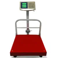 ترازو 300کیلویی اصلی