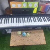 پیانو|پیانو، کیبورد، آکاردئون|ساوه, |دیوار