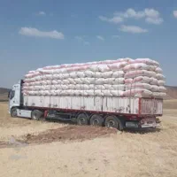 کاه موجود است|حیوانات مزرعه|رشتخوار, |دیوار