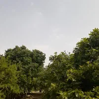 باغ کهن با اصالت، سنددار، با بناقدیمی و خونه باغ|فروش زمین و ملک کلنگی|رباط‌کریم, انجم آباد|دیوار