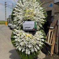 تاج.گل ترحیم و افتتاحیه ارسال رایگان|گل و گیاه طبیعی|تهران, بازار|دیوار