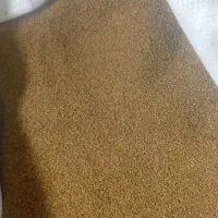 بذر یونجه کشاورزی اصلاح شده