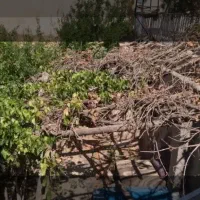 خونه-باغ-کلنگی-درجزین