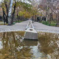 باغ فروشی فروشی داخل شهر