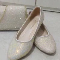 کیف و کفش ست مجلسی