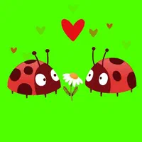 کلاس های آموزش انیمیشن دو بعدی موهو moho|خدمات آموزشی|قم, سالاریه|دیوار