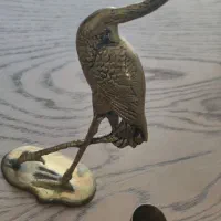 فلامینگو برنجی  و هاونگ برنجی