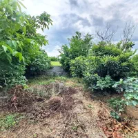 270مترخونه باغ/مدارک کامل/انشعابات نصب/فروش فوری|فروش خانه و ویلا|فریدون‌کنار, |دیوار