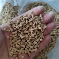 دان اماده مرغ گوشتی