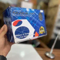 دزدگیر خودرو|قطعات یدکی و لوازم جانبی|کرمان, |دیوار