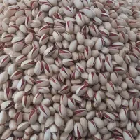 پسته سفیده بادامی خندان  درجه یک